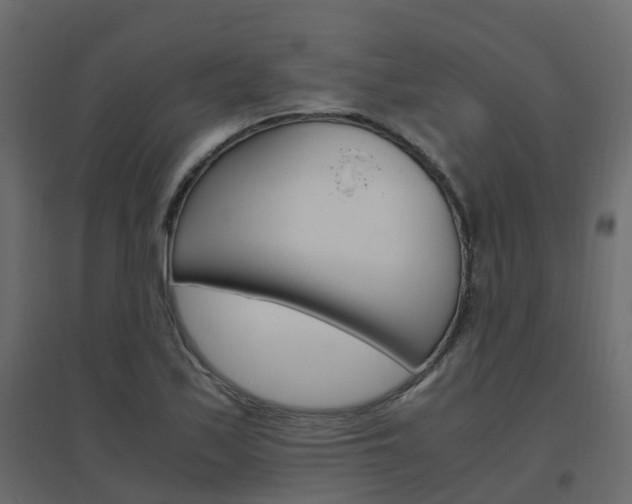 X0000096641171200802050950