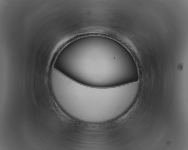 X0000096641172200802050950