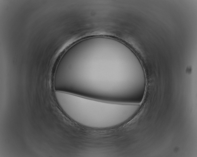 X0000096641173200802050950