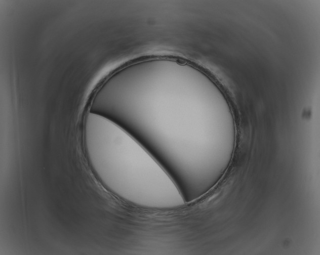 X0000096641175200802050950