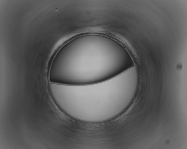 X0000096641176200802050950
