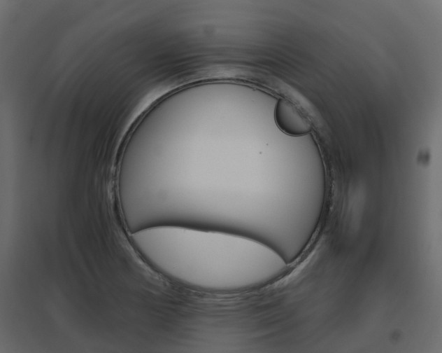 X0000096641178200802050950