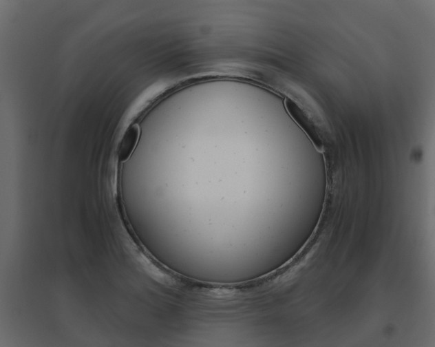X0000096641180200802050950