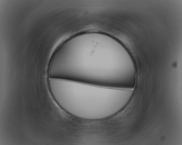 X0000096641183200802050950