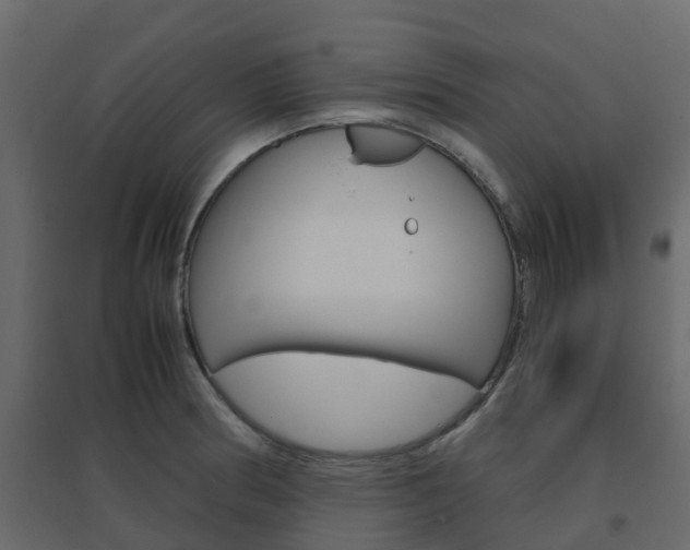 X0000096641186200802050950