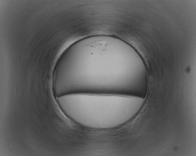 X0000096641187200802050950