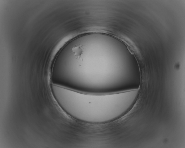 X0000096641188200802050950