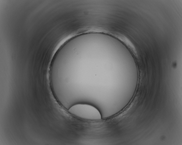 X0000096641190200802050950