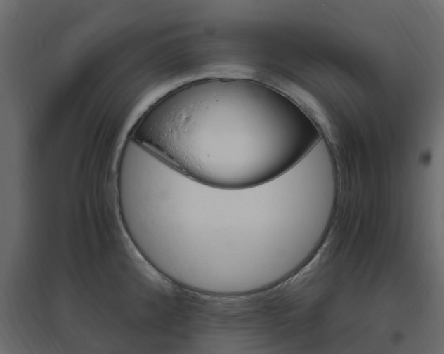 X0000096641192200802050950