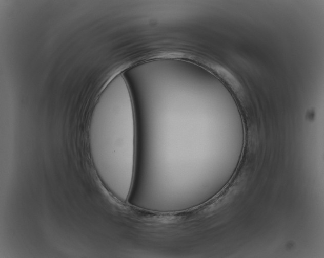 X0000096641193200802050950