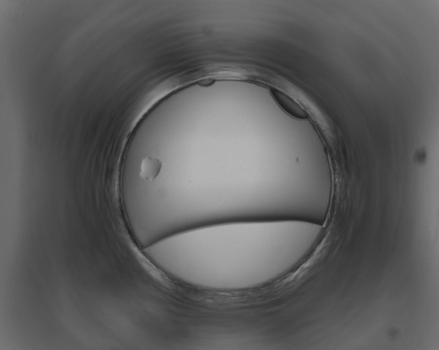 X0000096641194200802050950