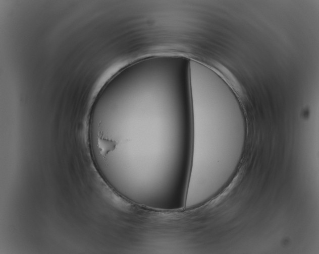 X0000096641196200802050950