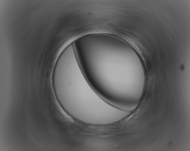 X0000096641197200802050950