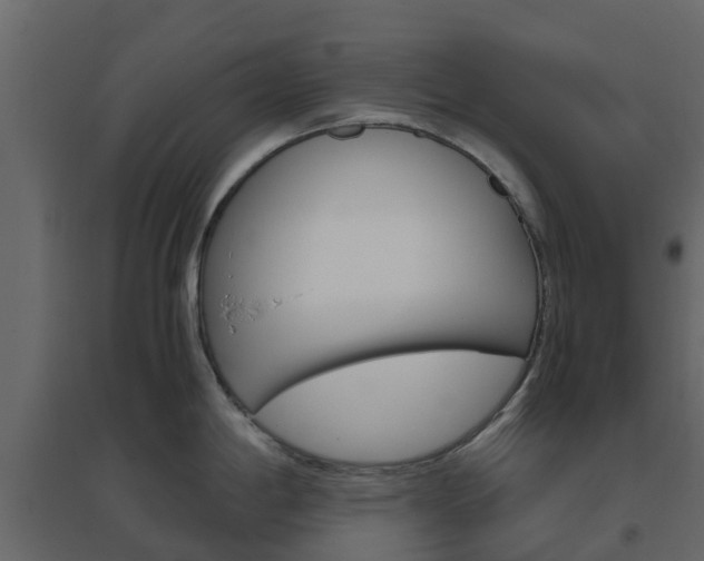 X0000096641198200802050950
