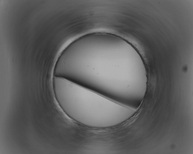 X0000096641199200802050950
