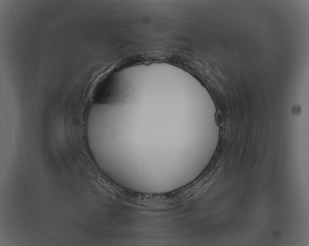 X0000096641201200802050949