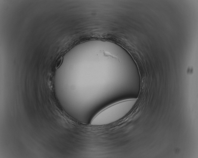 X0000096641202200802050949