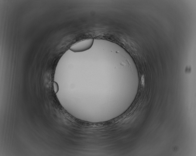 X0000096641203200802050949