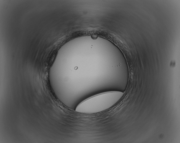 X0000096641204200802050949