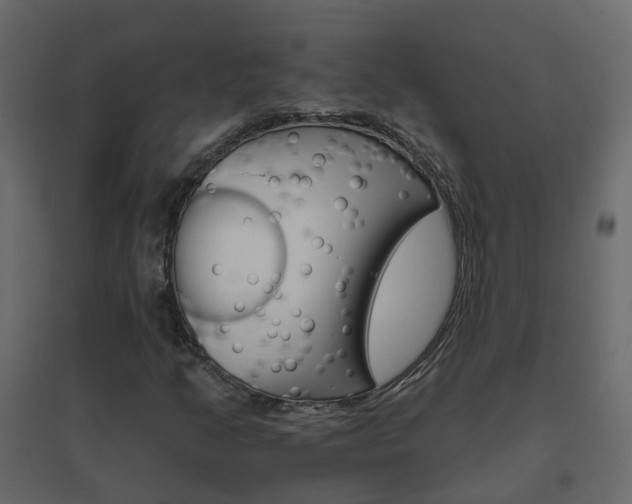 X0000096641205200802050949