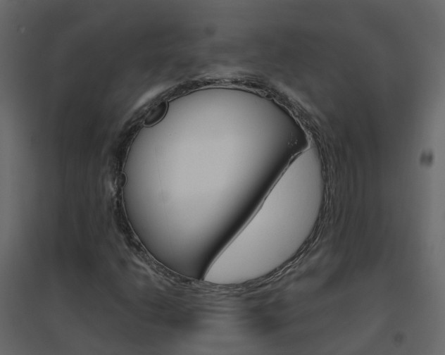 X0000096641206200802050949