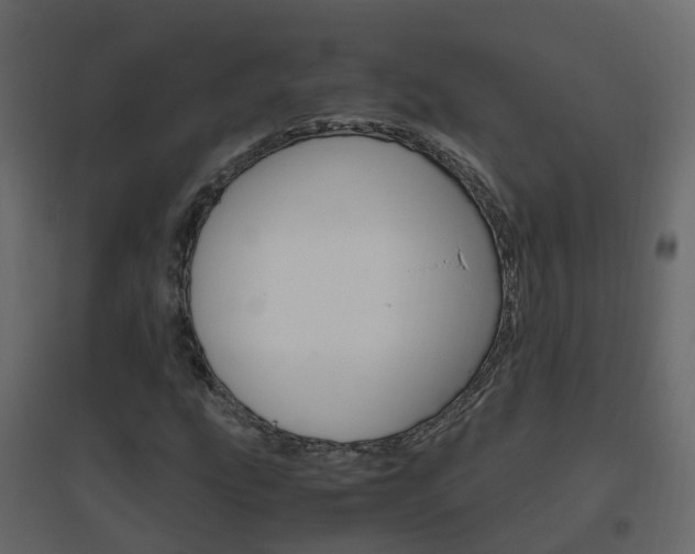 X0000096641207200802050949