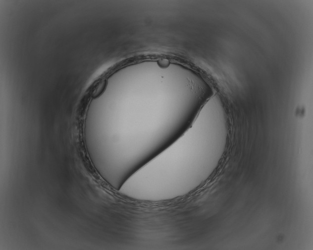 X0000096641208200802050949