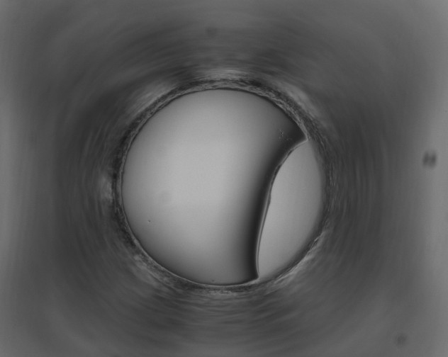 X0000096641209200802050949