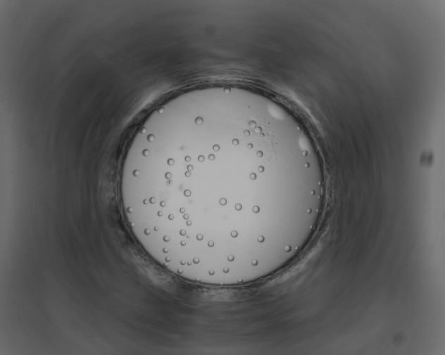 X0000096641211200802050950