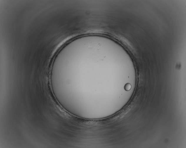 X0000096641212200802050950