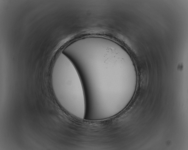 X0000096641213200802050950