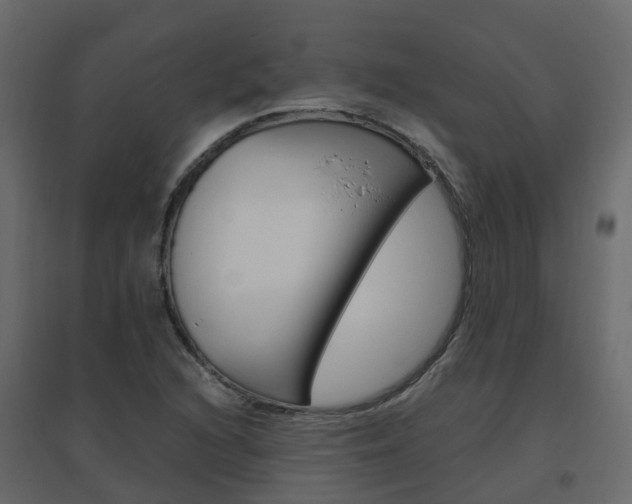 X0000096641216200802050950