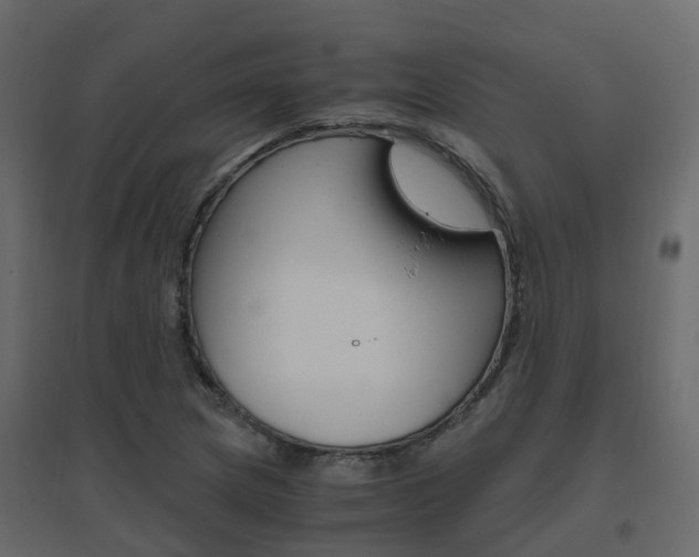 X0000096641217200802050950