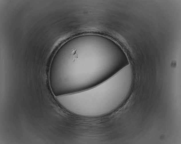 X0000096641218200802050950