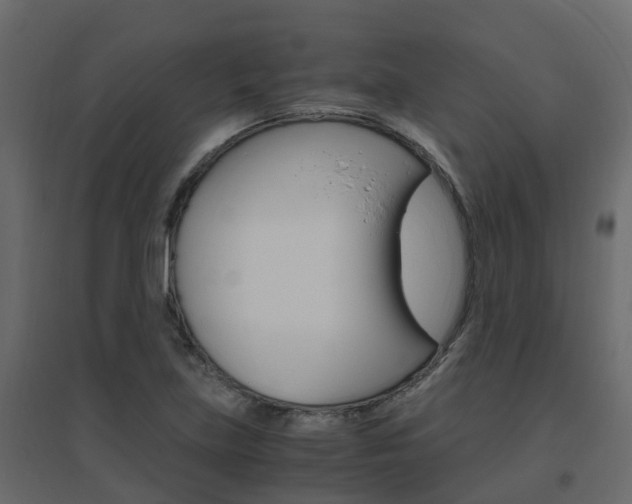 X0000096641219200802050950