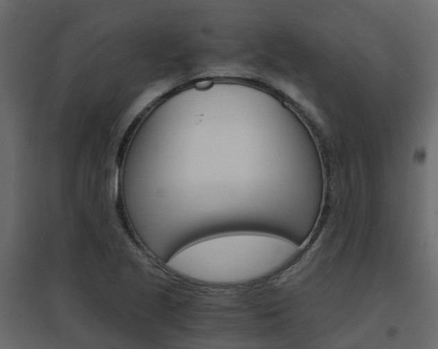 X0000096641221200802050950