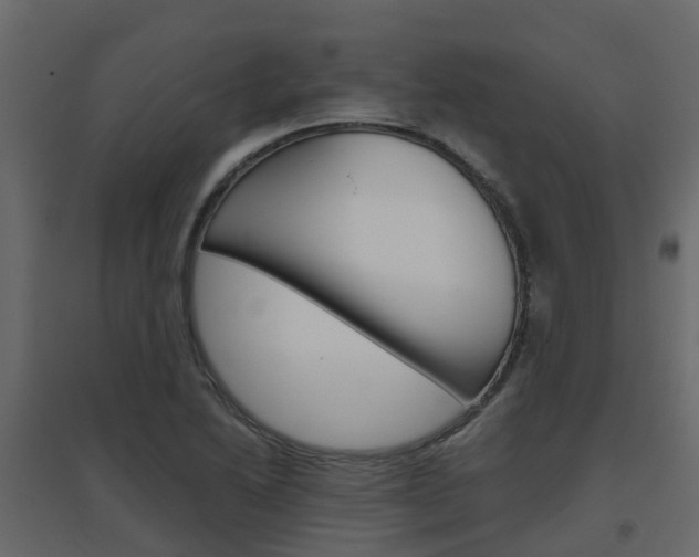 X0000096641222200802050950