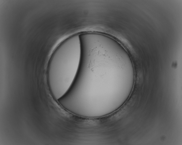 X0000096641224200802050950