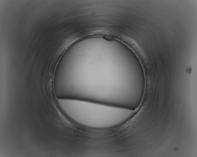 X0000096641225200802050950