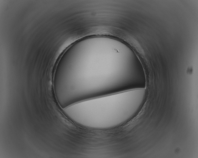 X0000096641226200802050950