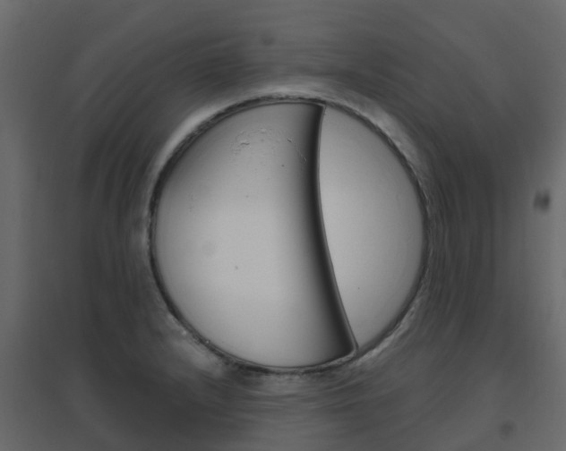 X0000096641232200802050950