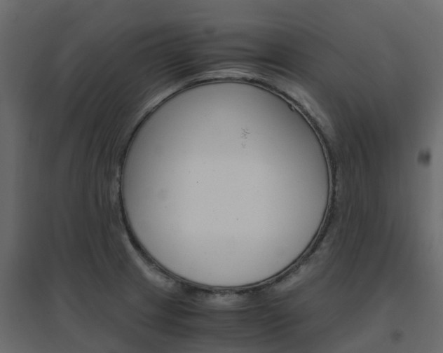 X0000096641233200802050950