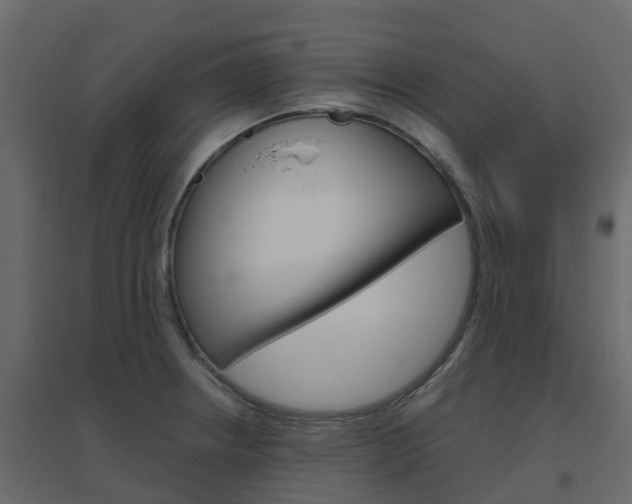 X0000096641234200802050950