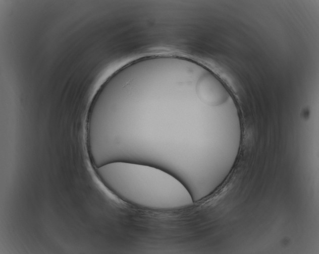 X0000096641239200802050950