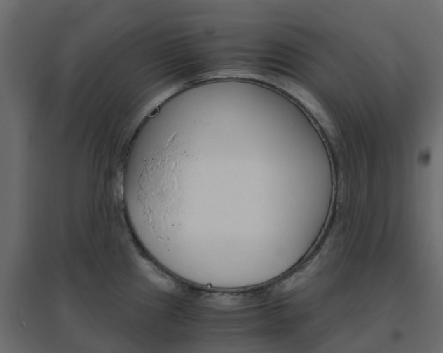 X0000096641241200802050950