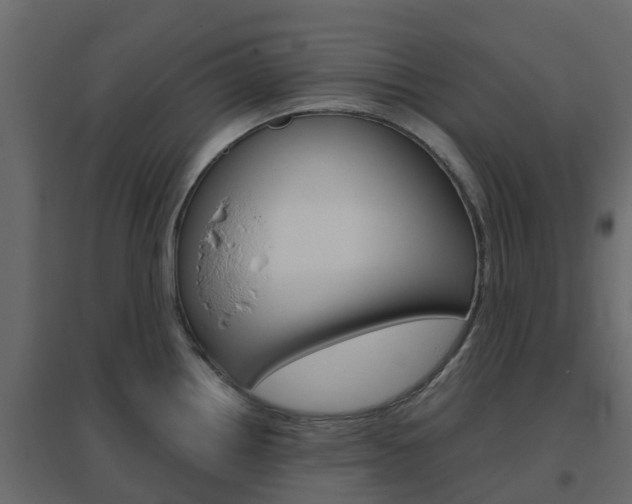 X0000096641242200802050950