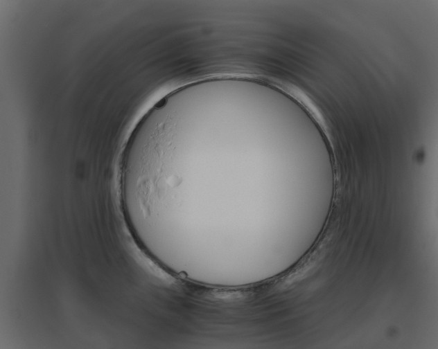 X0000096641243200802050950