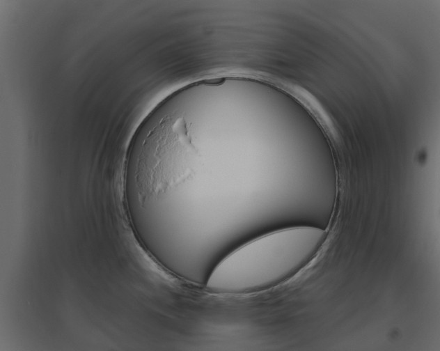 X0000096641244200802050950