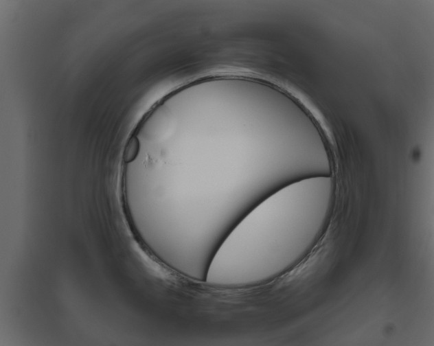 X0000096641245200802050950
