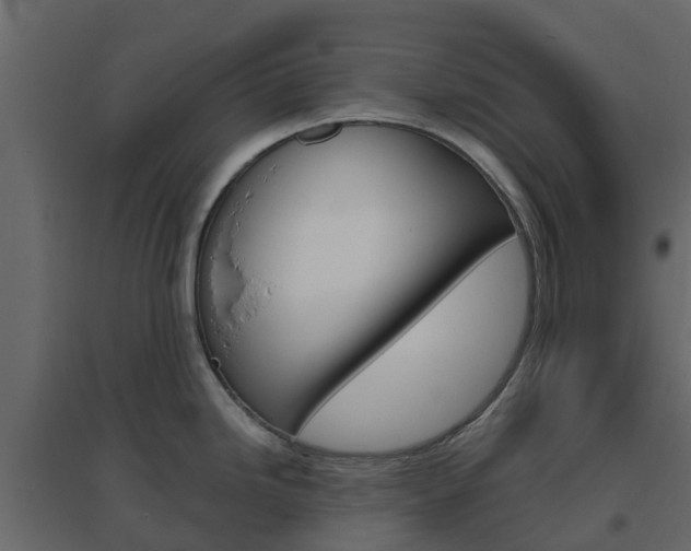 X0000096641246200802050950